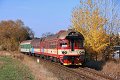 thn_2008-10-18_Mnichovo_Hradiste_R942_854002_Pavel_Sturm.jpg