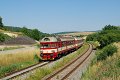 thn_2008-07-02_Nevojice-Bucovice_Sp1730_854007_Petr_Majernik.jpg