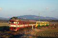 thn_2008-02-25_Doubi_Os5414_854008+814216+215_Vlada_Musil.jpg