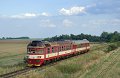 thn_2009-08-27_Straky_R1116_854014_Pavel_Sturm.jpg