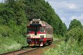 thn_2009-05-23_Ceska_Skalice_854015_Michal_Pulzer.jpg