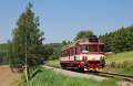 thn_2009-08-02_Rtyne_v_Podkrkonosi_854015_Michal_Pulzer.jpg