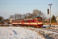 thn_2005-12-27_Ostromer_854019_Pavel_Sturm.jpg