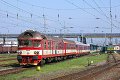 thn_2008-04-18_Hradec_Kralove_854019_Michal_Pulzer.jpg
