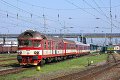 thn_2008-04-18_Hradec_Kralove_854019_Michal_Pulzer.jpg