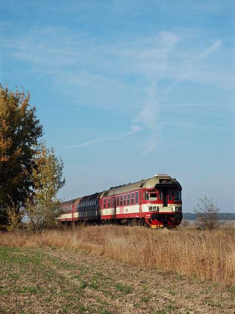 img_2008-10-21_Straky_854023_Michal_Kuty.jpg