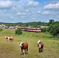 thn_2012-06-15_Martinice-v-Krkonosich_854023_Pavel-Sturm.jpg