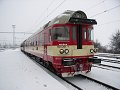 thn_2006-03-09_Chlumec_n_Cidlinou_Sp1861_854201_Petr_Voros.jpg