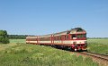 thn_2009-06-14_Vysoke_Popovice_854201_Michal_Pulzer.jpg