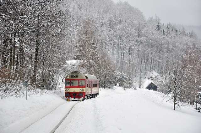 img_2012-02-19_Dolni-Polubny_Os16221_854202A_Pavel-Sturm.jpg