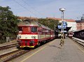 thn_2006-10-09_Brno_Os4832_854203_Hort_08.jpg