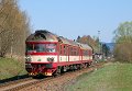 thn_2008-04-24_Cerveny_Kostelec_854205+954203_Michal_Pulzer.jpg