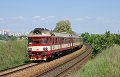 thn_2009-05-25_Strelice_Dolni_854209_Michal_Pulzer.jpg