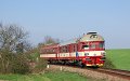 thn_2009-04-14_Rychnovek_854210_Michal_Pulzer.jpg