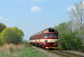 thn_2008-04-24_Straky_R1113_854212_Tomas_Kubovec.jpg