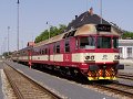 thn_2006-07-21_Rakovnik_Sp1893_854216_VrbaM.jpg