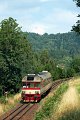 thn_2007-08-08_Dolni_Polubny_Os16223_854223_Pavel_Sturm.jpg