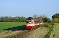 thn_2009-04-15_Straky_R1116_854223_Pavel_Sturm.jpg