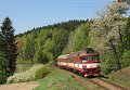 thn_2009-04-24_Rtyne_v_Podkrkonosi_854225_Michal_Pulzer.jpg