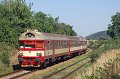 thn_2008-08-19_Strelice_dolni_954003_Michal_Pulzer.jpg