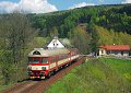 thn_2008-05-04_Velke_Svatonovice_954203+854225_Michal_Pulzer.jpg