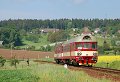 thn_2008-05-25_Cerveny_Kostelec_954203_Michal_Pulzer.jpg