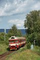 thn_2009-07-16_Skalice_u_Ceske_Lipy_R1108_954210+854213_Pavel_Sturm.jpg