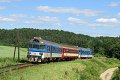 thn_2010-06-23_Vysoke_Popovice_954223_Tomas_Kubovec.jpg