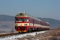 thn_2010-03-10_Zator_R822_954225_David_Stanovsky.jpg