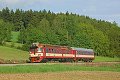 thn_854005_Rtyne_v_Podkrkonosi_21.05.2010_Michal_Pulzer.jpg