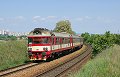 thn_854209_Strelice_Dolni_25.05.2009_Michal_Pulzer.jpg