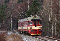 thn_854210_Rtyne_v_Podkrkonosi_03.01.2010_Michal_Pulzer.jpg