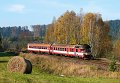 thn_854207_Brezova_u_Broumova_Os5122_29.10.2010_Tomas_Sagner.jpg