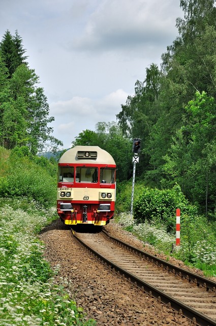 img_854031_Plavy_R1143_15-06-2012_Pavel-Sturm.jpg