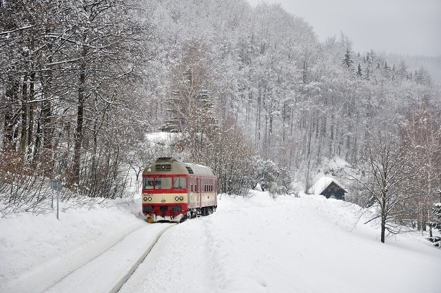 img_854202_Dolni-Polubny_Os16221_19-02-2012A_Pavel-Sturm.jpg