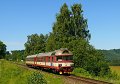 thn_854008_Brezova_u_Broumova_Os5103_8.7.2010b_Tomas_Sagner.jpg