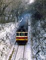 thn_M296-1006_Stromovka_MSp984_16.2.1986_Zdenek-Kacena.jpg