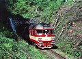 thn_854030_Krizany_13.5.1999_Petr_Holub_1.jpg