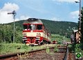 thn_854030_Krizany_13.5.1999_Petr_Holub_2.jpg