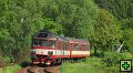 thn_854207_Starkoc_04.06.2010_Michal_Pulzer.jpg
