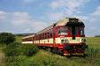 854.005 SKUTENOST